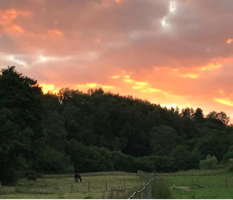 Woodmill Farm Cottage Alvington Luaran gambar